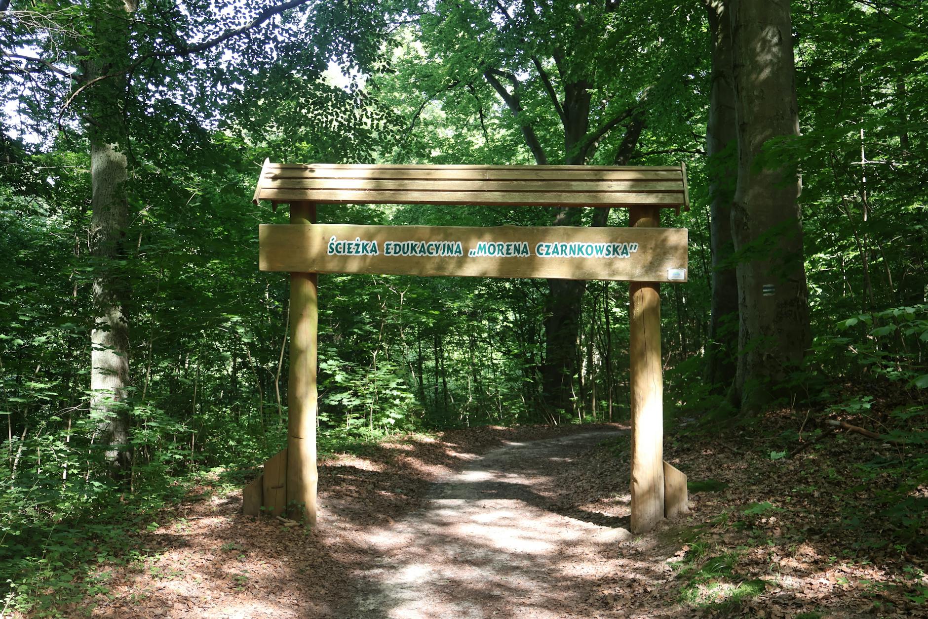 Tradycyjna polska pisanka wielkanocna ozdobiona skomplikowanymi wzorami, symbol wielkanocnych tradycji w Ostrowie Wielkopolskim.